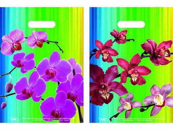 Пакеты с вырубной ручкой (25*35+3)