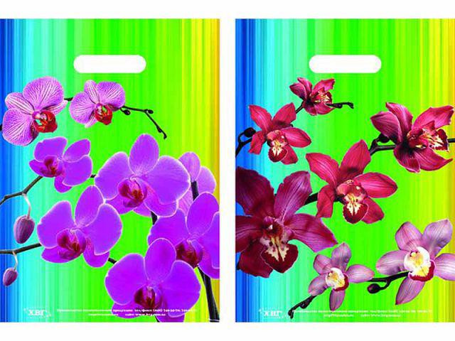 Пакеты с вырубной ручкой (25*35+3)