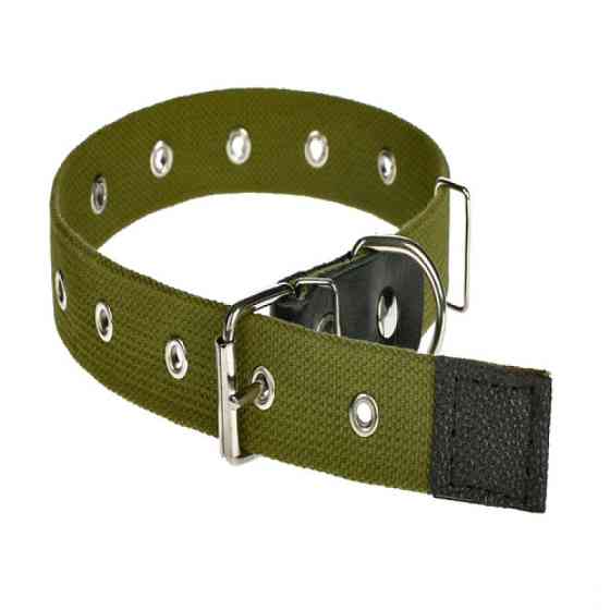 Нашийник 406 30мм "Економ" х/б безрозмірний Вінниця