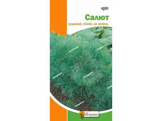 Креп Салют (20 пачек) 5г ТМ ЯСКРАВА Киев