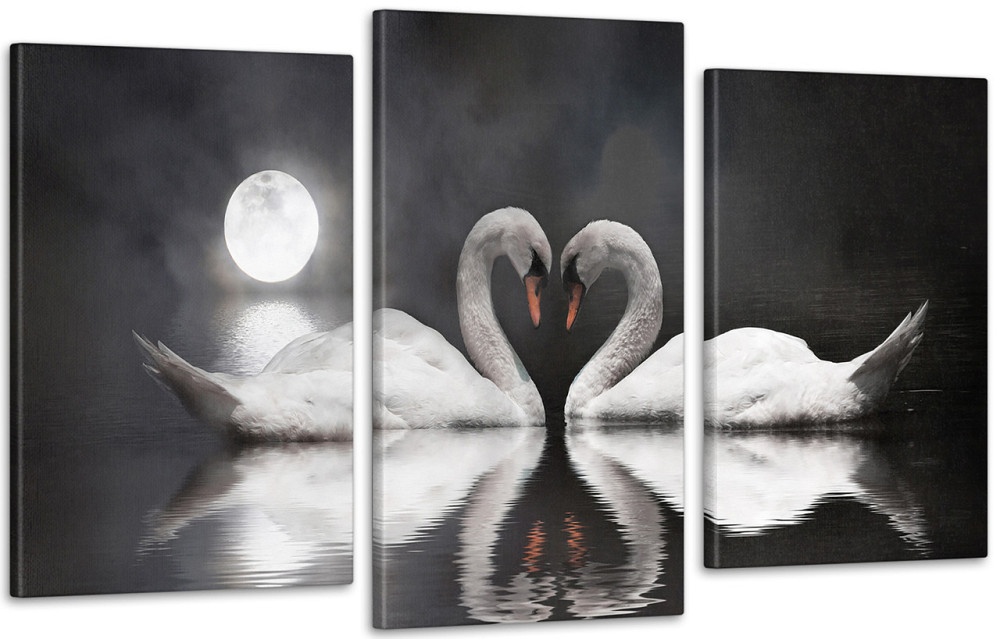 Модульная картина Луна Лебеди Art-128_3 70x130 см Киев - изображение 1