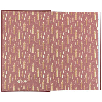 Блокнот Kite А6 Harry Potter, тверда обкладинка, 80 аркушів, клітинка (HP25-199) Вінниця - фото 3