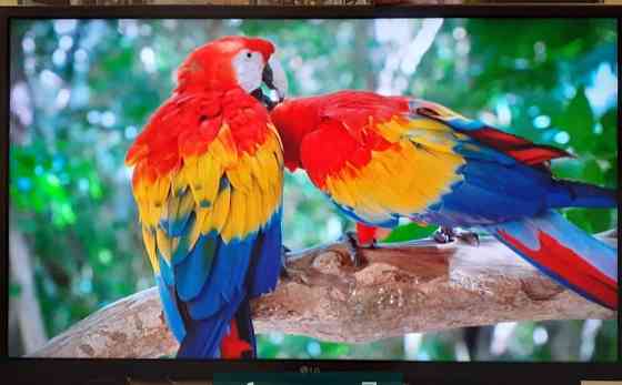 Телевізор: LG 32" T2, Пульт. Київ