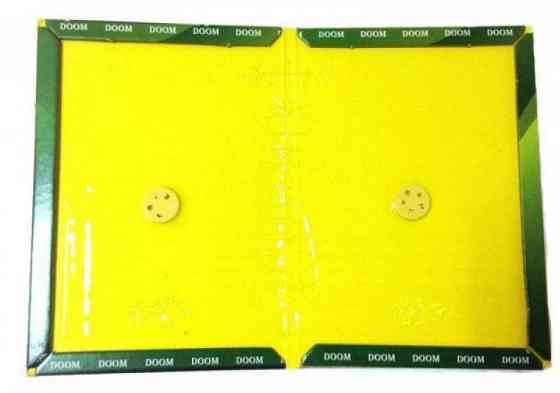 Мишоловка липка TG-21, 12 х 17 см Винница