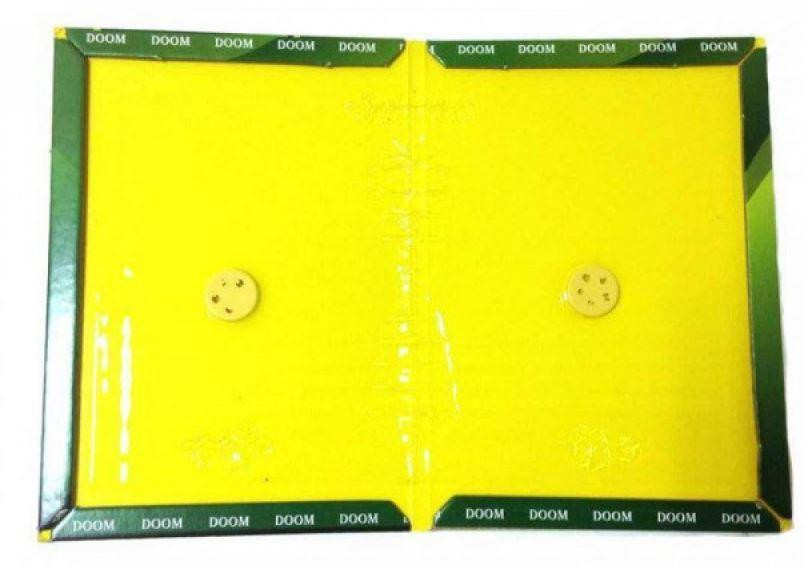 Мишоловка липка TG-21, 12 х 17 см Винница - изображение 3