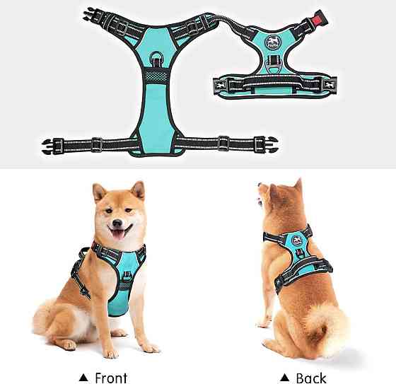 Шлея для собак PoyPet розмір S Луцьк