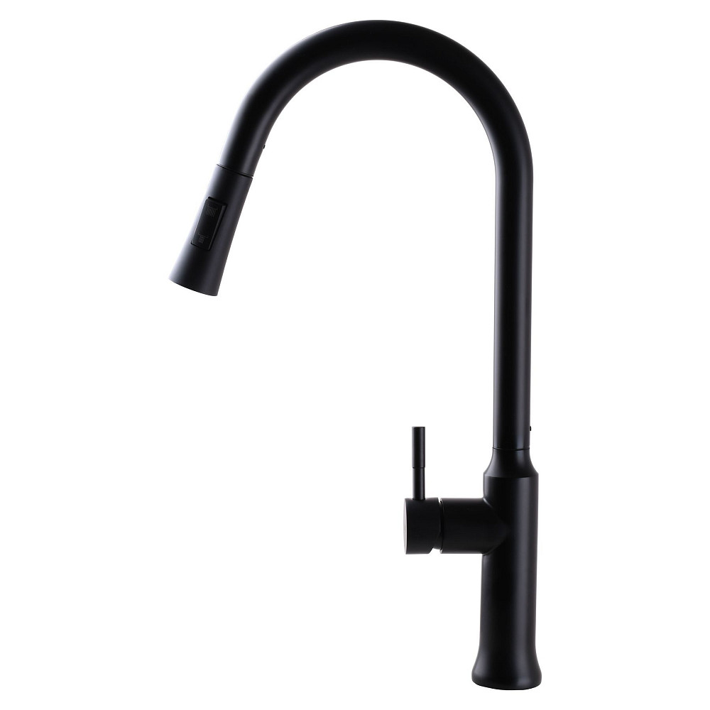 Змішувач для кухні Globus Lux ALPEN SBT1-2033-BB Луцк - изображение 2