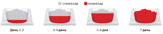 Hills Science Plan Kitten Chicken (Хиллс СП Киттен Курица) для котят до 1 года, беременных и кормящих кошек Запорожье