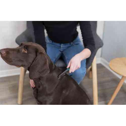 Расческа Trixie для вычесывания блох и вшей металлическая с пластиковой ручкой 21 см Киев