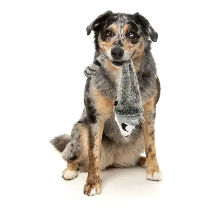 М'яка іграшка для собак FuzzYard Єнотик Луцк - изображение 2