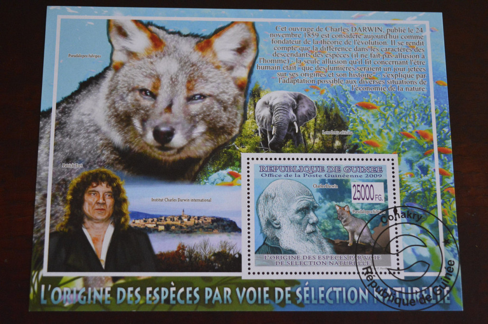 Гвинея. Малый лист. 2009 год. Фауна (Б) Полтава - изображение 1