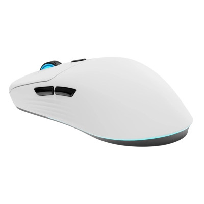 Мышка Thunderobot ML7 Tri-Mode wireless Mous (ML7) Винница - изображение 3