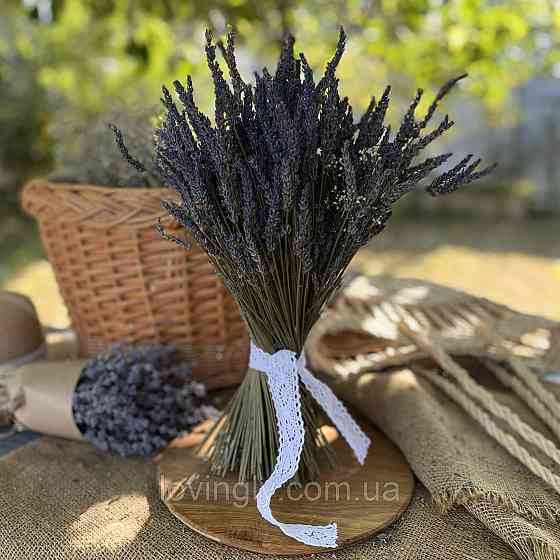 Сухоцвіт лавандину 500 г  натуральна лаванда для декору та букетів Ірпінь