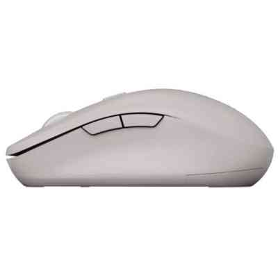 Мышка Canyon MW-12 Wireless/Bluetooth Beige (CNS-CMSW12BG) Винница