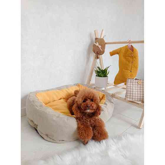 Лежак для собак і кішок Incor Donut жовтий XL (100см) Київ