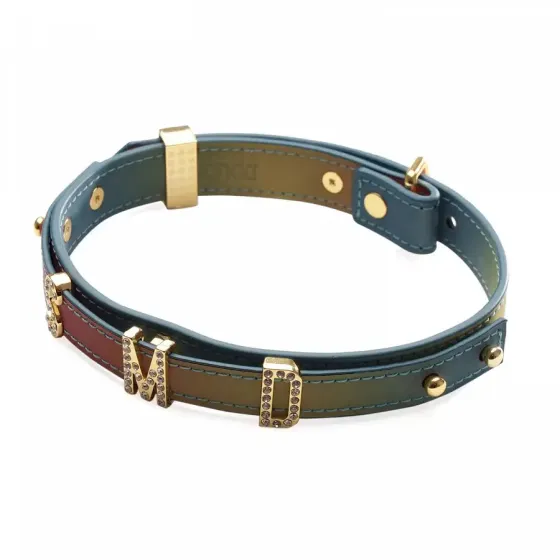 Нашийник LOCKINK Multi-color DIY Alphabet Collar Львів