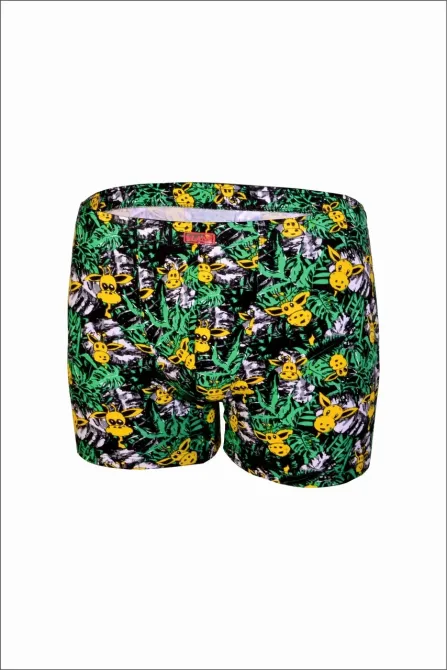 Трусы мужские Шорты Lans 06/040 XXL Киев - изображение 1