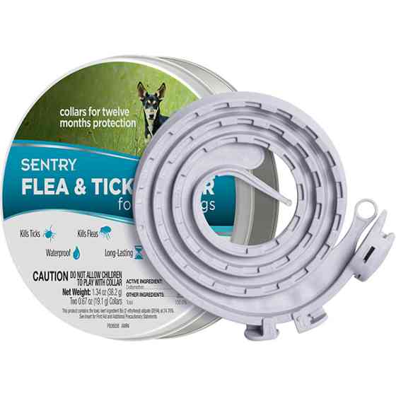Sentry Flea&Tick Collar Small СЕНТРИ ошейник от блох и клещей для собак малых пород Киев
