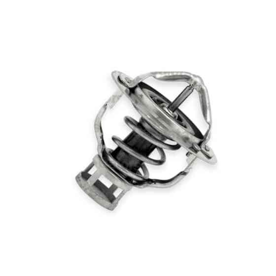 Термостат Terrano I, Maxima III 3.0i (2001-) (76°C) Nissan Мукачево