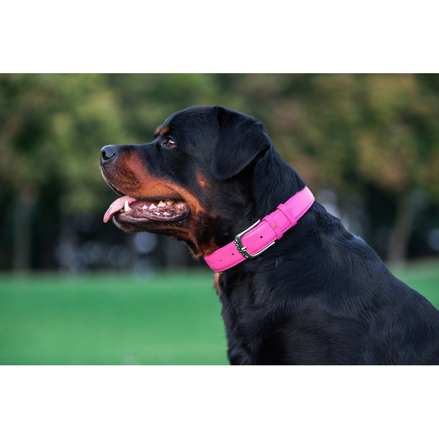 Нашийник для собак шкіряний WAUDOG Glamour з QR паспортом, без прикрас, L, Ш 25 мм, Дов 38-49 с Коломия - фото 4