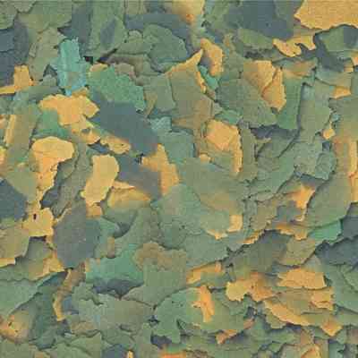 Корм для рыб Tropical Bio-vit в хлопьях 21 л (5900469744192) Винница