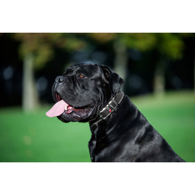 Ошейник для животных WAUDOG Soft с QR паспортом M Ш 25 мм Д 38-49 см черный (7202) Винница - изображение 10