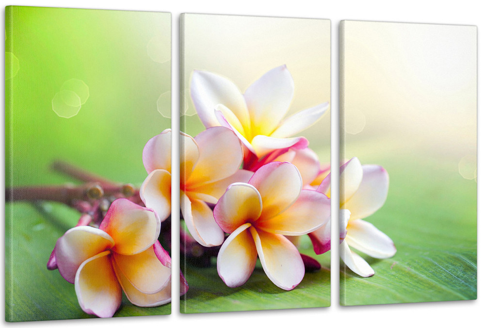 Модульная картина Цветы Орхидея Art-71_3А 70x130 см Киев - изображение 1