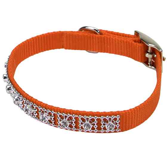 Coastal Jeweled КОСТАЛ нашийник зі стразами для собак Київ
