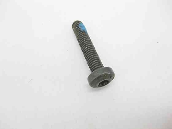 Mercedes-Benz  N000000002490 Болт з головкою Торкс T25 та різьбленням M5 x 25 mm кріплення моторчика панорами Одеса