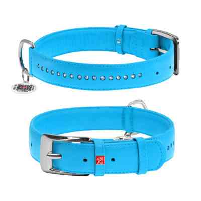 Нашийник для тварин WAUDOG Glamour з QR-паспортом, подвійний Ш 25 мм Д 38-49 см блакитний (38782) Вінниця