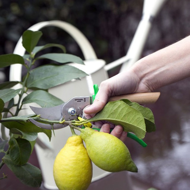 Садовий Секатор для обрізки з 3 позиціями Opinel (001628) Нержавіюча сталь Нововолинськ - фото 9