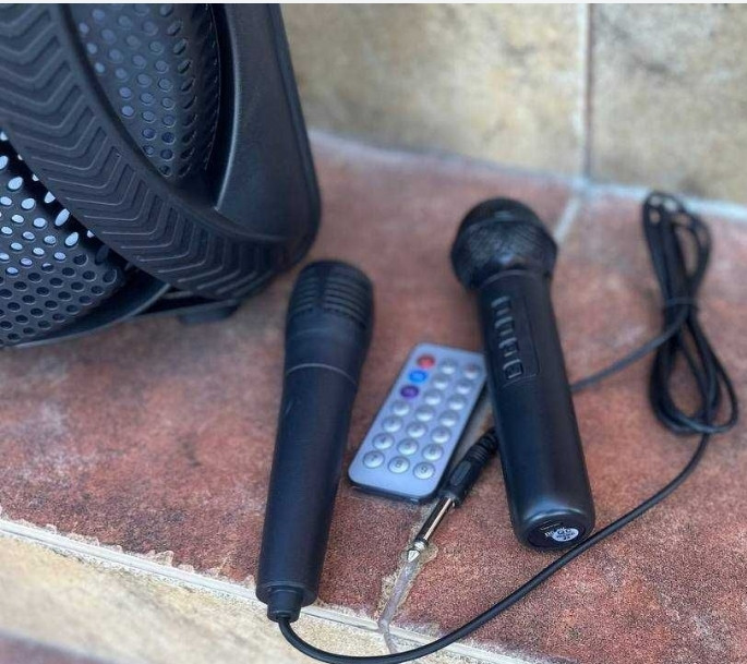 Портативная колонка аккумуляторная с 2️⃣ микрофономи. Харьков - изображение 2