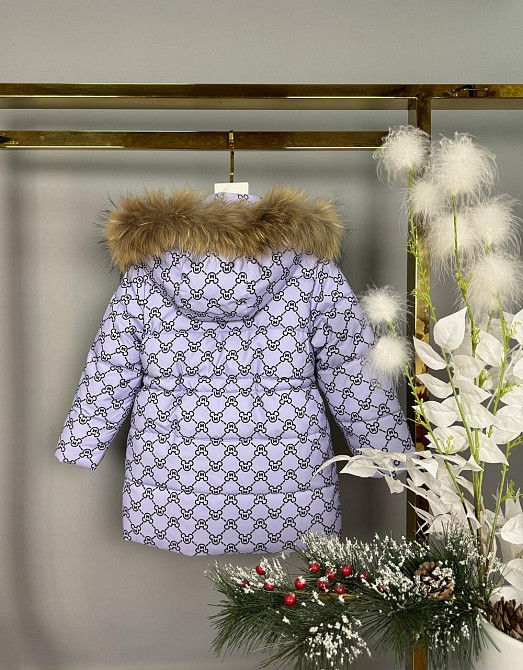 Детская зимняя сиреневая курточка на девочку на холофайбере 110 Николаев - изображение 3