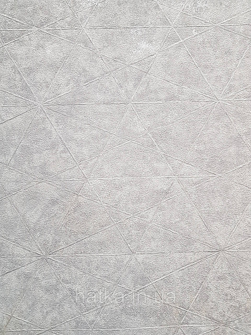 Шпалери вінілові на флізелін Rasch Composition 0,53х10 геометрія смуги фігури під штукатурку сірі з сріблом Київ - фото 3