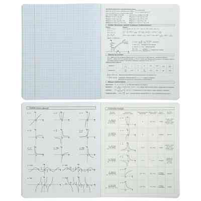 Зошит ZiBi предметний CRAZY CAT 48 аркушів клітинка, алгебра (ZB.1703-06) Вінниця