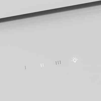 Вытяжка кухонная Pyramida ASH 60 S (800) GWH Винница