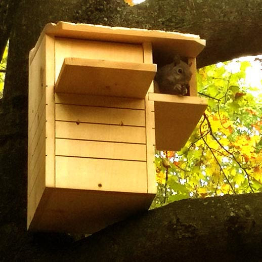 Будиночок для білок "Чилім" каррі Миколаїв - фото 3