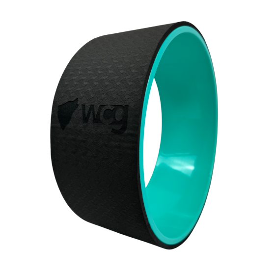 Набір 3 шт колесо ролик для йоги та фітнесу йога кільце WCG (W-1029-3) Київ