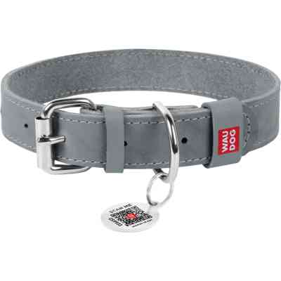 Ошейник для животных WAUDOG Classic кожаный 12 мм х 21-29 см серый (020211) Винница