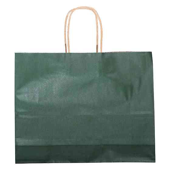 Набір подарункових крафтових пакетів з паперу 12 (шт.) гарні пакети для подарунків 31×12×25 (см) Зелений HP-10359-2GR Київ