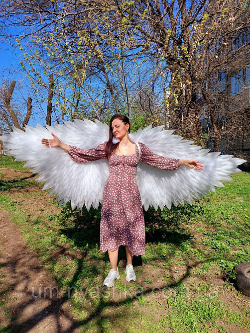 Крылья Ангела взрослые гибкие подвижные Кривой Рог - изображение 7