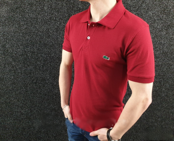 Мужская батальная тенниска Lacoste р. 3XL(54) Киев