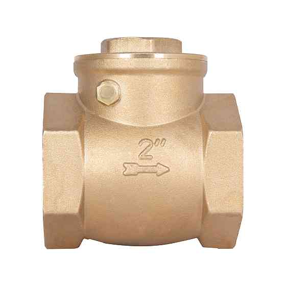 Зворотний клапан Thermo Alliance Standart 2" SD242W50 Київ