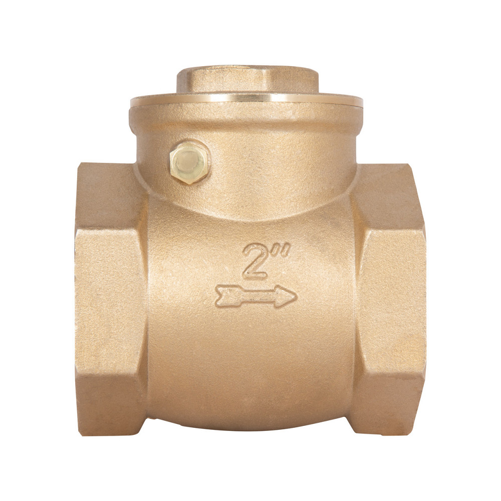 Обратный клапан Thermo Alliance Standart 2