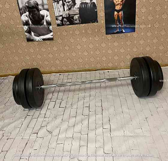 Штанга наборная W-образная на 57 кг Гантели, гири, штанги и диски с пластиковым покрытием Киев