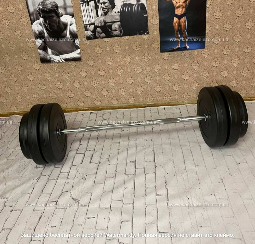 Штанга наборная W-образная на 57 кг Гантели, гири, штанги и диски с пластиковым покрытием Киев - изображение 2