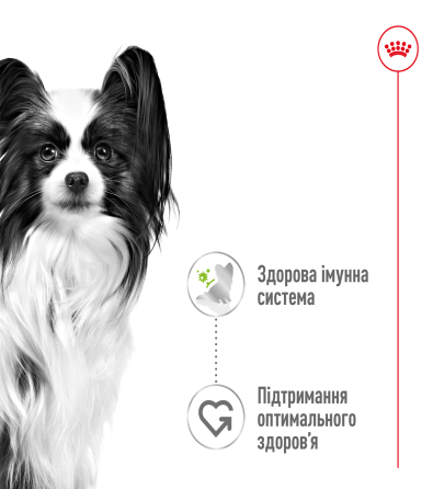 Вологий корм для дорослих собак ROYAL CANIN XSMALL ADULT IN GRAVY 0.085 кг Київ