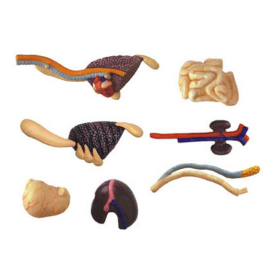 Пазл 4D Master Master Тиранозавр (FM-622013) Винница - изображение 4