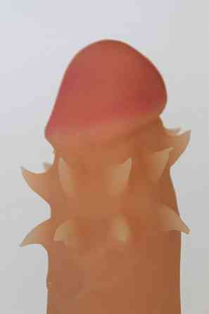 Фалоімітатор EGZO Ciberskin SVS001 ( 17,5 см х 3,5 см) Sex Aura Київ