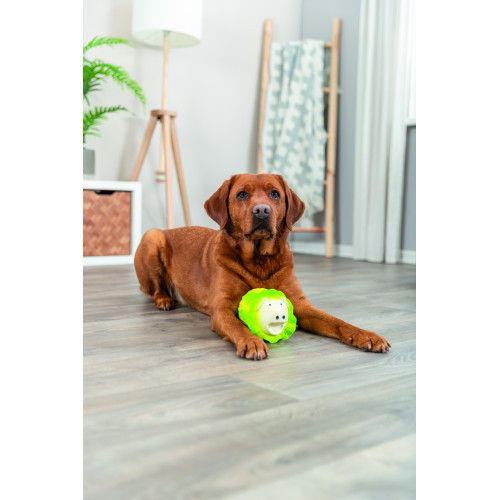 Іграшка Trixie для собак Капустяна свинка латекс 23 см світло-зелена Київ - фото 6